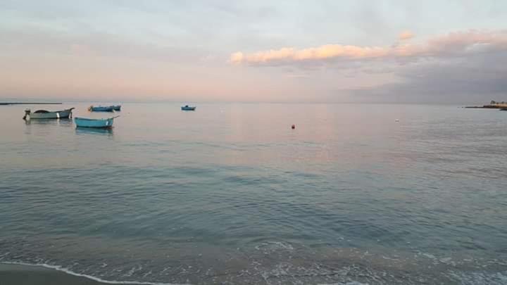 B&B La Palma باري المظهر الخارجي الصورة
